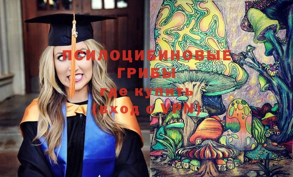 мяу мяу кристалл Магас