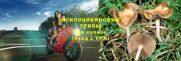 мяу мяу кристалл Магас