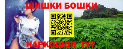 дмт Тула
