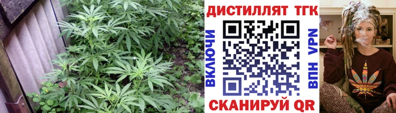 Дистиллят ТГК гашишное масло  сколько стоит  Черемхово 
