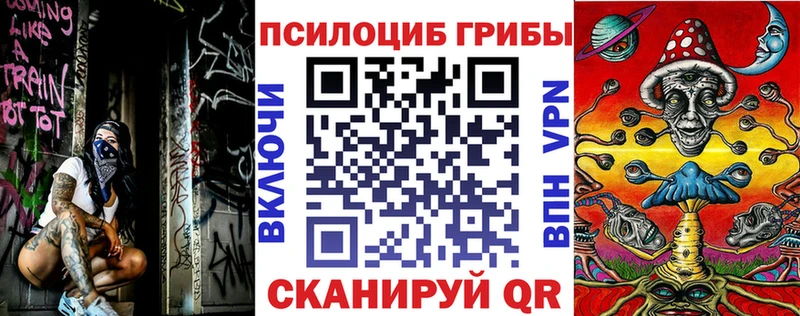 Псилоцибиновые грибы MAGIC MUSHROOMS  Черемхово 