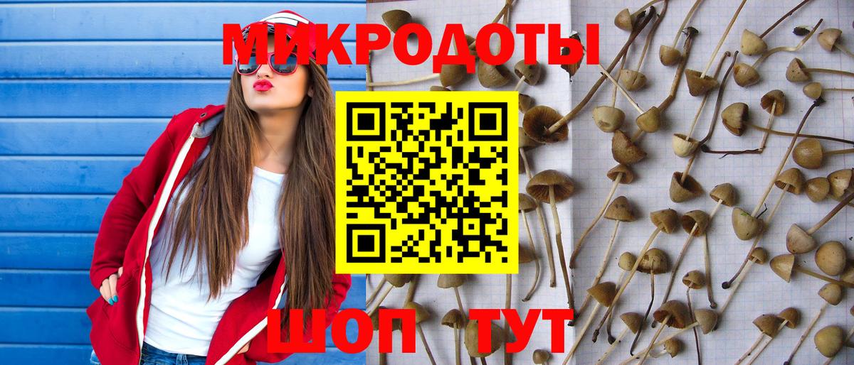 Псилоцибиновые грибы MAGIC MUSHROOMS Черемхово